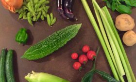 販売|夏野菜を食べる!
