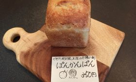 ぽんかん&文旦ぱん